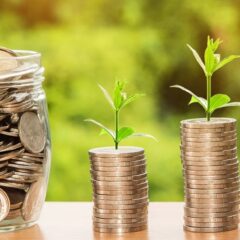 increasing sizes of coin stacks